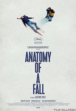 Anatomy of a Fall (2023) Hindi Dubbed