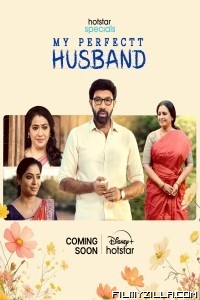 My Perfectt Husband (2024) Season 1 Hindi WebSeries