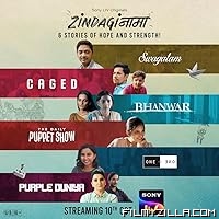 Zindaginama (2024) S01 Hindi Series