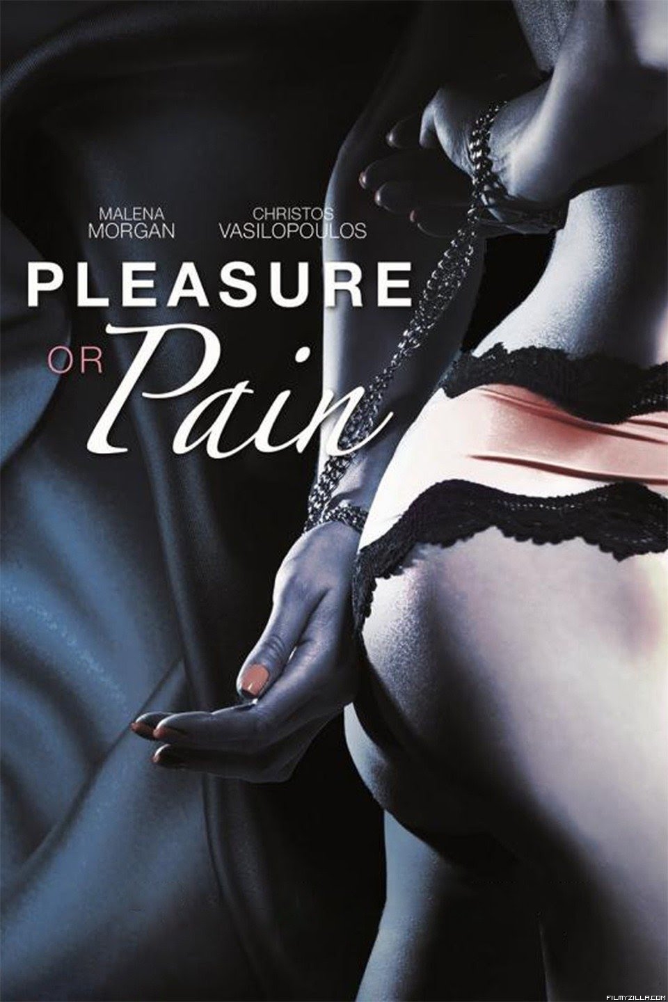 Pleasure or Pain (2013)